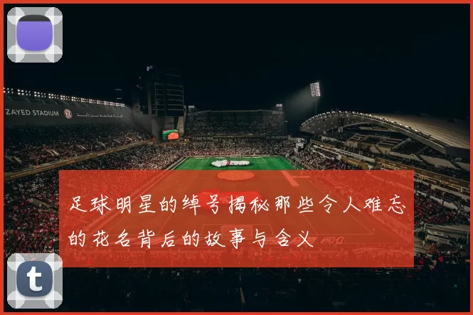 足球明星的绰号揭秘那些令人难忘的花名背后的故事与含义