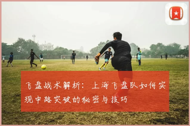 飞盘战术解析：上海飞盘队如何实现中路突破的秘密与技巧