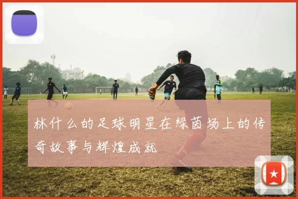林什么的足球明星在绿茵场上的传奇故事与辉煌成就