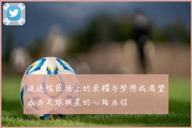 追逐绿茵场上的荣耀与梦想我渴望成为足球明星的心路历程