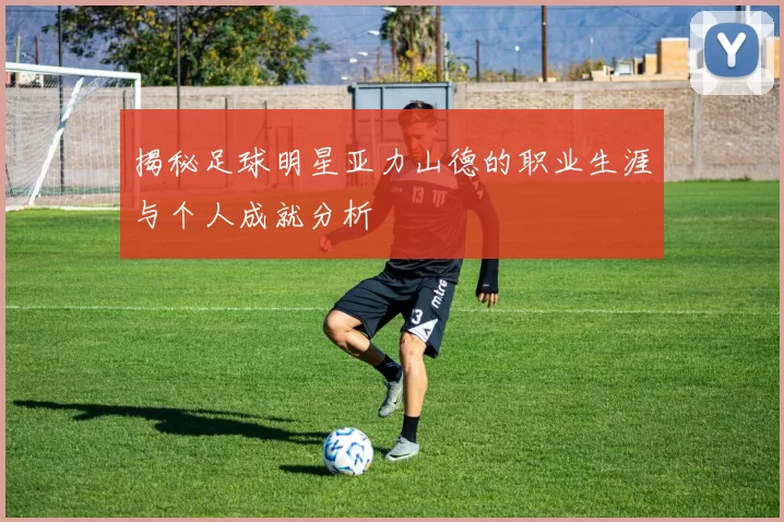 揭秘足球明星亚力山德的职业生涯与个人成就分析