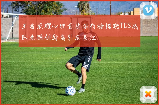 王者荣耀心理素质排行榜揭晓TES战队表现创新高引发关注
