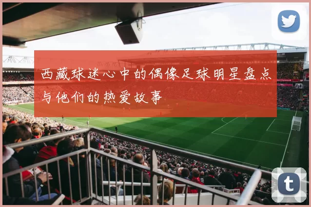 西藏球迷心中的偶像足球明星盘点与他们的热爱故事