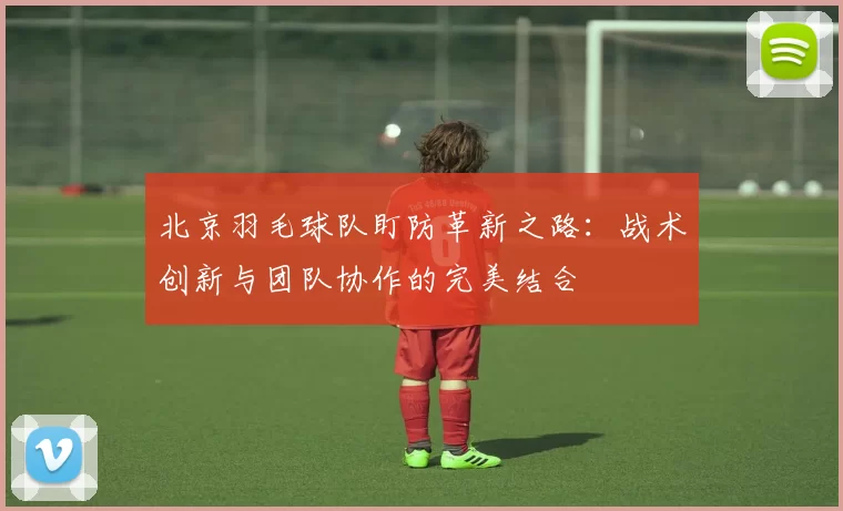 北京羽毛球队盯防革新之路：战术创新与团队协作的完美结合