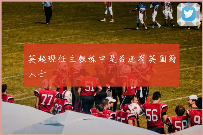 英超现任主教练中是否还有英国籍人士