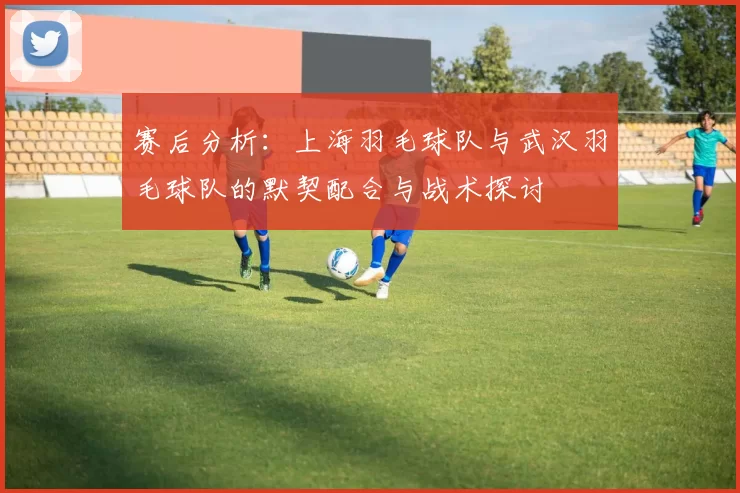 赛后分析：上海羽毛球队与武汉羽毛球队的默契配合与战术探讨