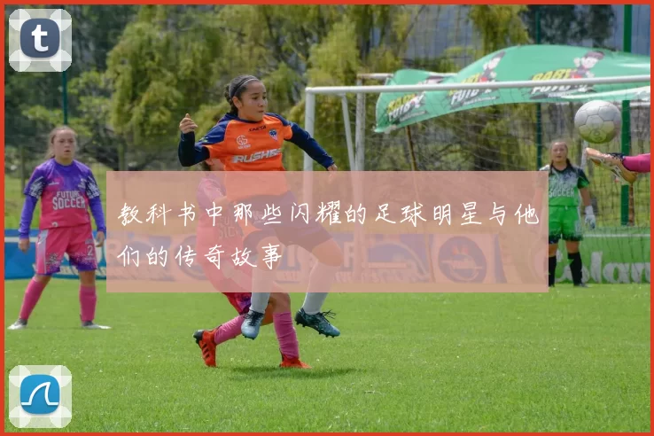 教科书中那些闪耀的足球明星与他们的传奇故事