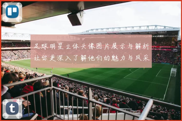 足球明星立体头像图片展示与解析让你更深入了解他们的魅力与风采