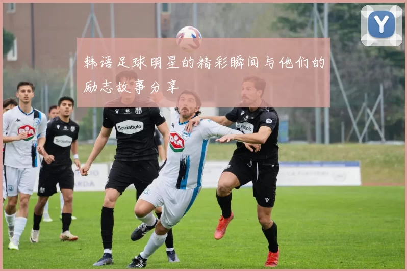 韩语足球明星的精彩瞬间与他们的励志故事分享