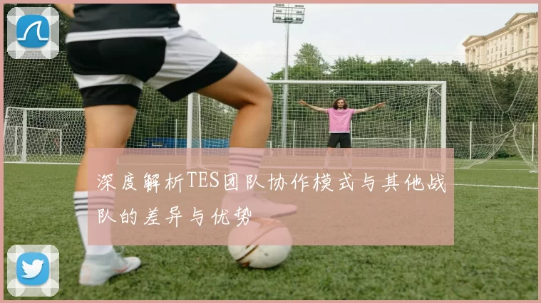 深度解析TES团队协作模式与其他战队的差异与优势