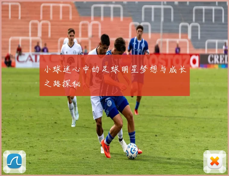 小球迷心中的足球明星梦想与成长之路探秘
