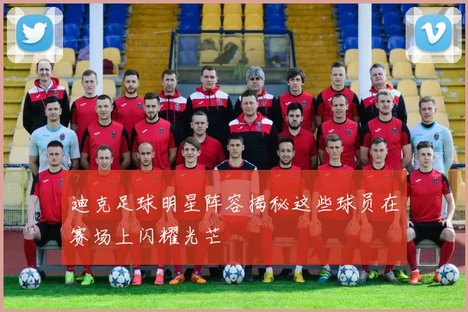 迪克足球明星阵容揭秘这些球员在赛场上闪耀光芒