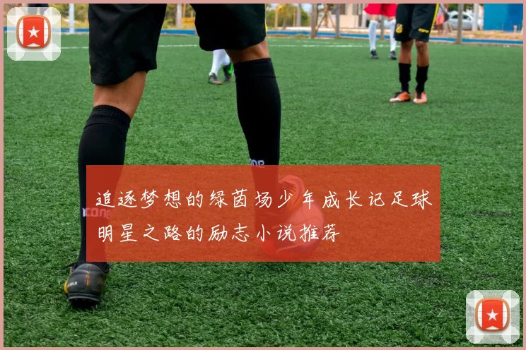 追逐梦想的绿茵场少年成长记足球明星之路的励志小说推荐