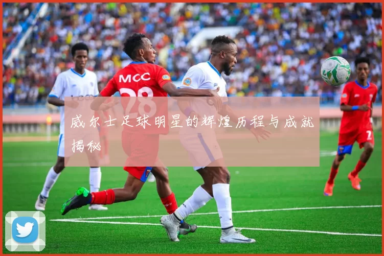 威尔士足球明星的辉煌历程与成就揭秘