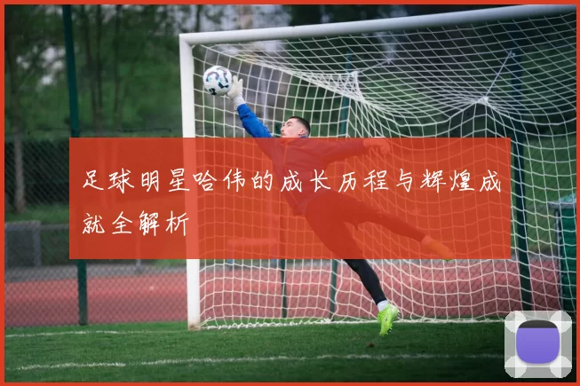 足球明星哈伟的成长历程与辉煌成就全解析