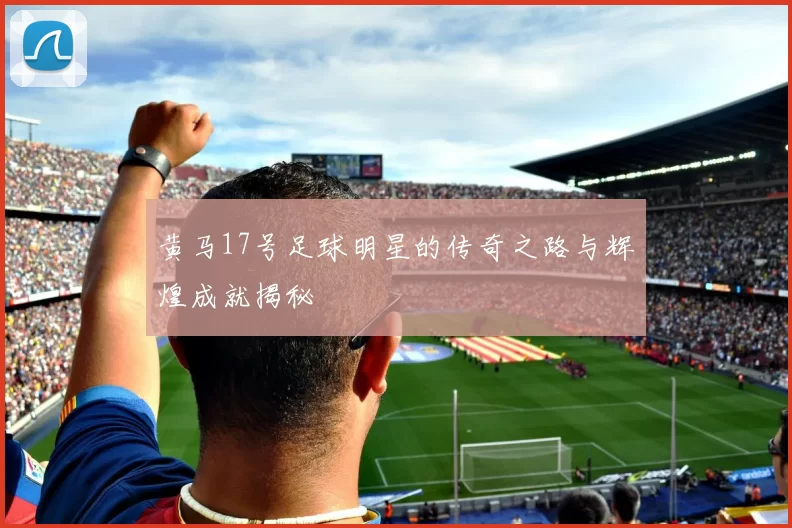 黄马17号足球明星的传奇之路与辉煌成就揭秘