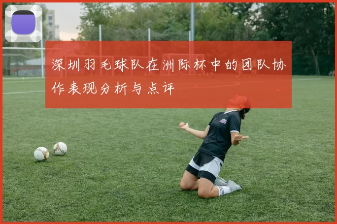 深圳羽毛球队在洲际杯中的团队协作表现分析与点评