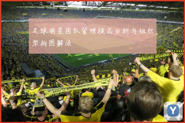足球明星团队管理模式分析与组织架构图解读