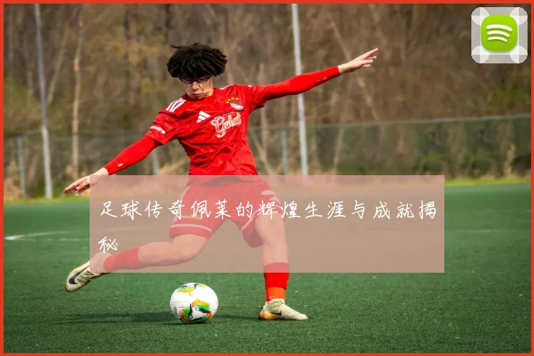 足球传奇佩莱的辉煌生涯与成就揭秘