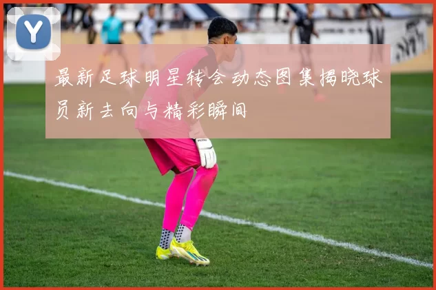 最新足球明星转会动态图集揭晓球员新去向与精彩瞬间