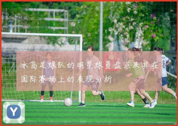 冰岛足球队的明星球员盘点及其在国际赛场上的表现分析