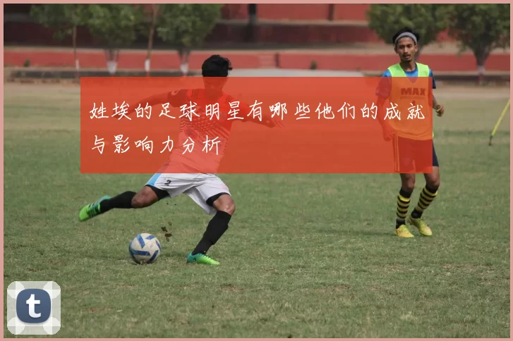 姓埃的足球明星有哪些他们的成就与影响力分析