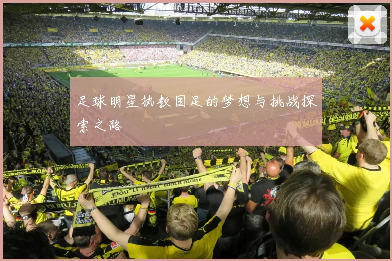 足球明星执教国足的梦想与挑战探索之路