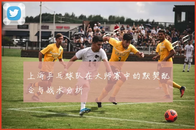 上海乒乓球队在大师赛中的默契配合与战术分析
