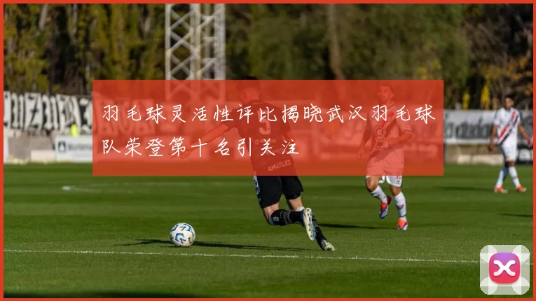 羽毛球灵活性评比揭晓武汉羽毛球队荣登第十名引关注