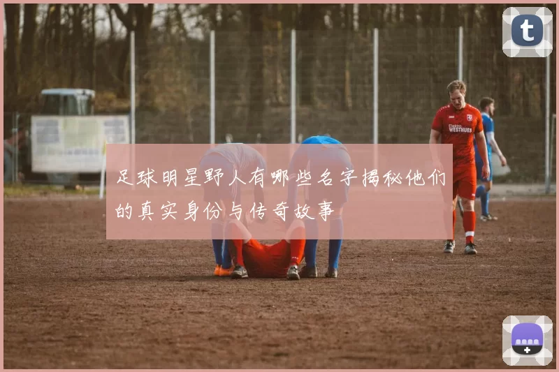 足球明星野人有哪些名字揭秘他们的真实身份与传奇故事